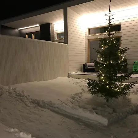 Snow Storm *