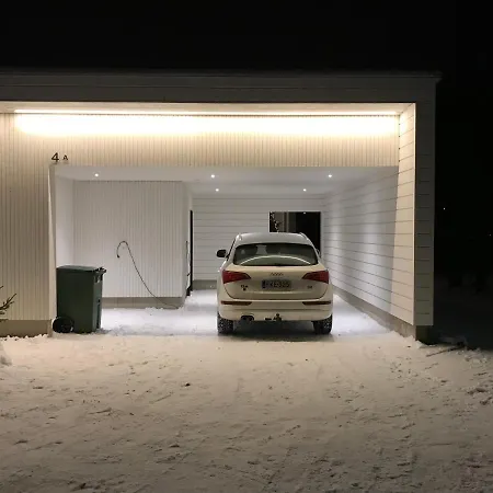 Snow Storm *